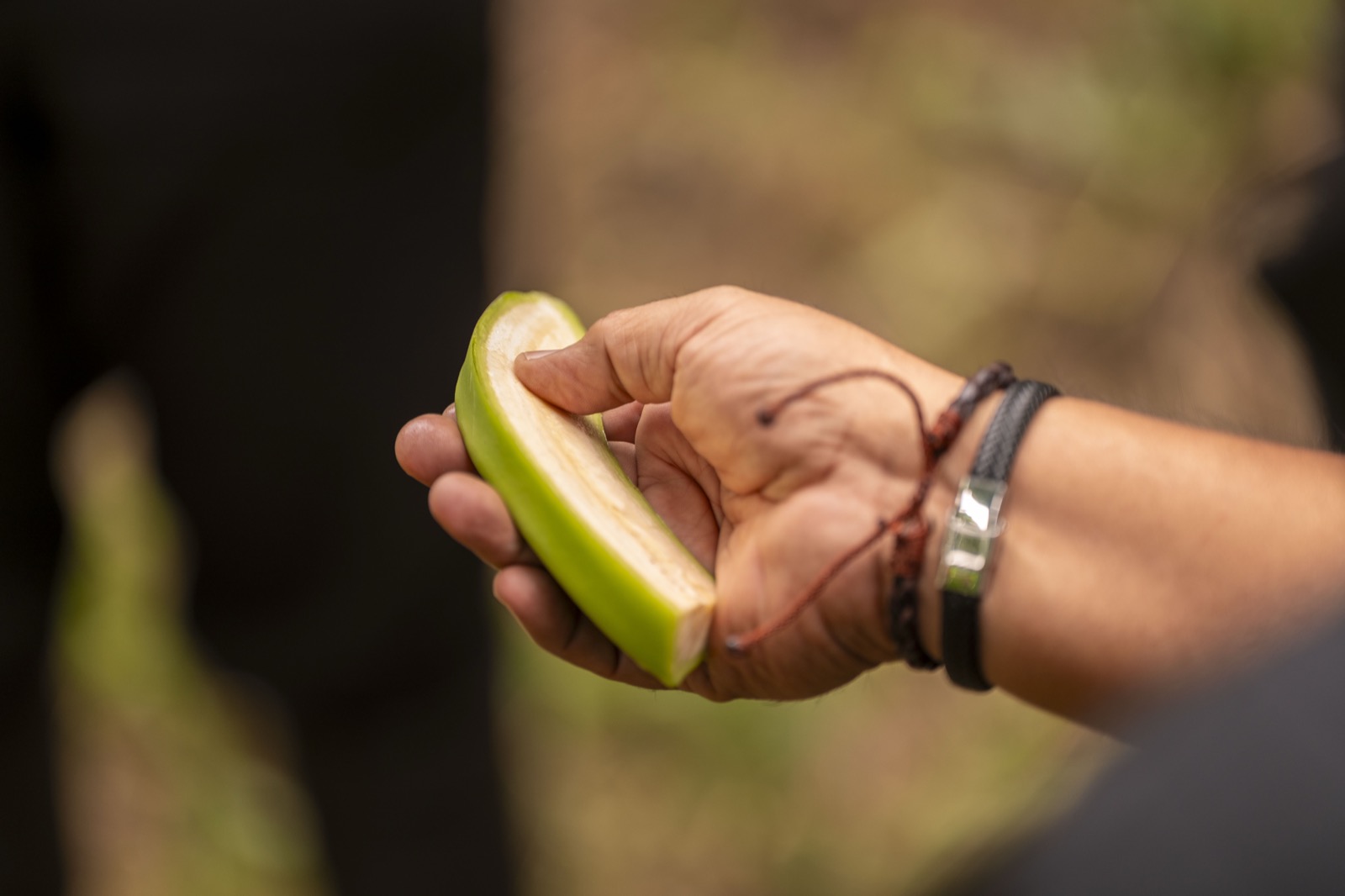 Detalle de banano org&aacute;nico reci&eacute;n cortado