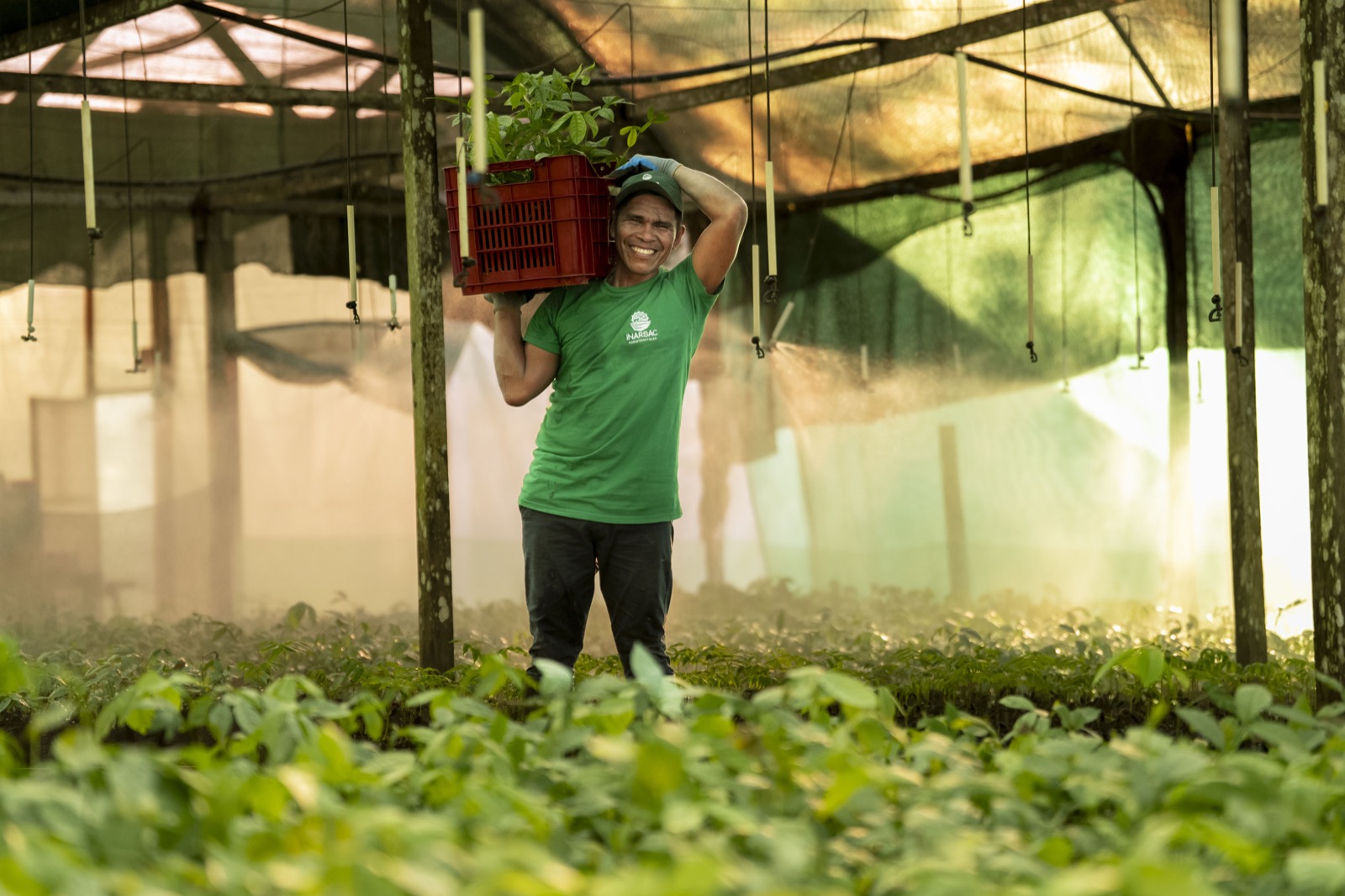 Proceso de extracci&oacute;n de aceite de casta&ntilde;a en planta de INARSAC
