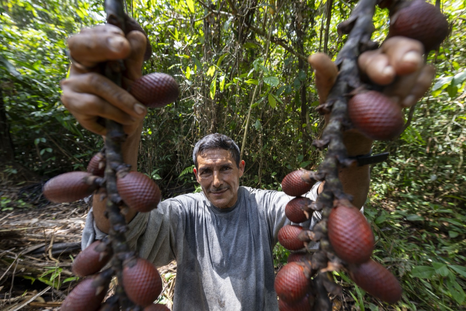 Man with aguaje fruits