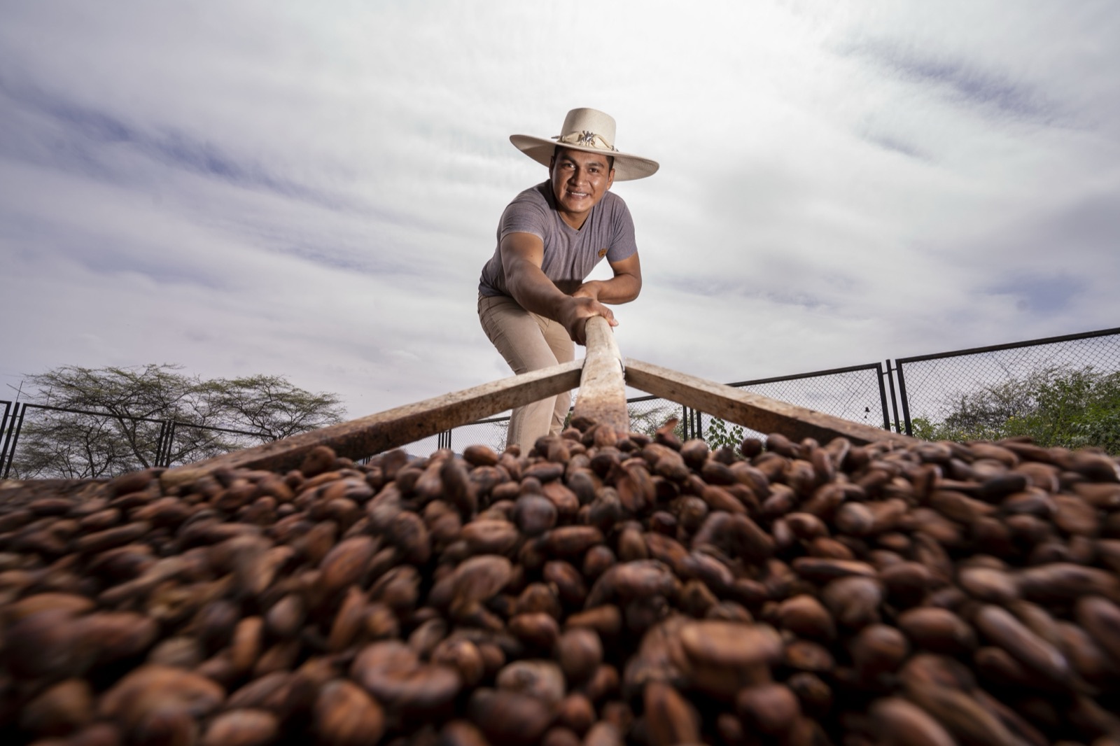 Young farmer with cacao beans