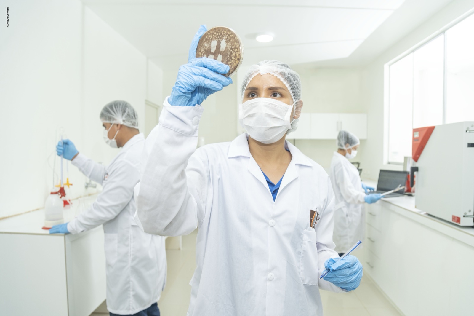 Lab technician analyzing cacao sample