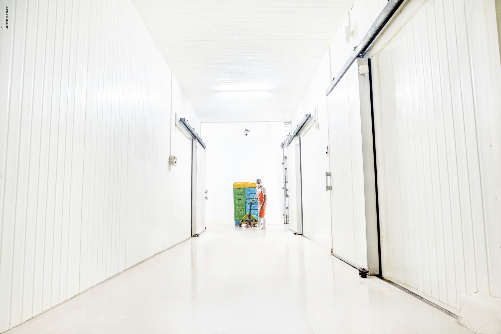 Worker in cold storage facility