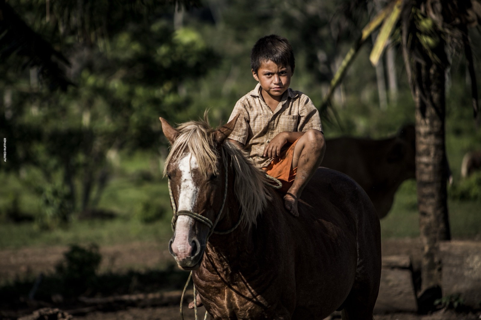 Boy riding horse in rural setting