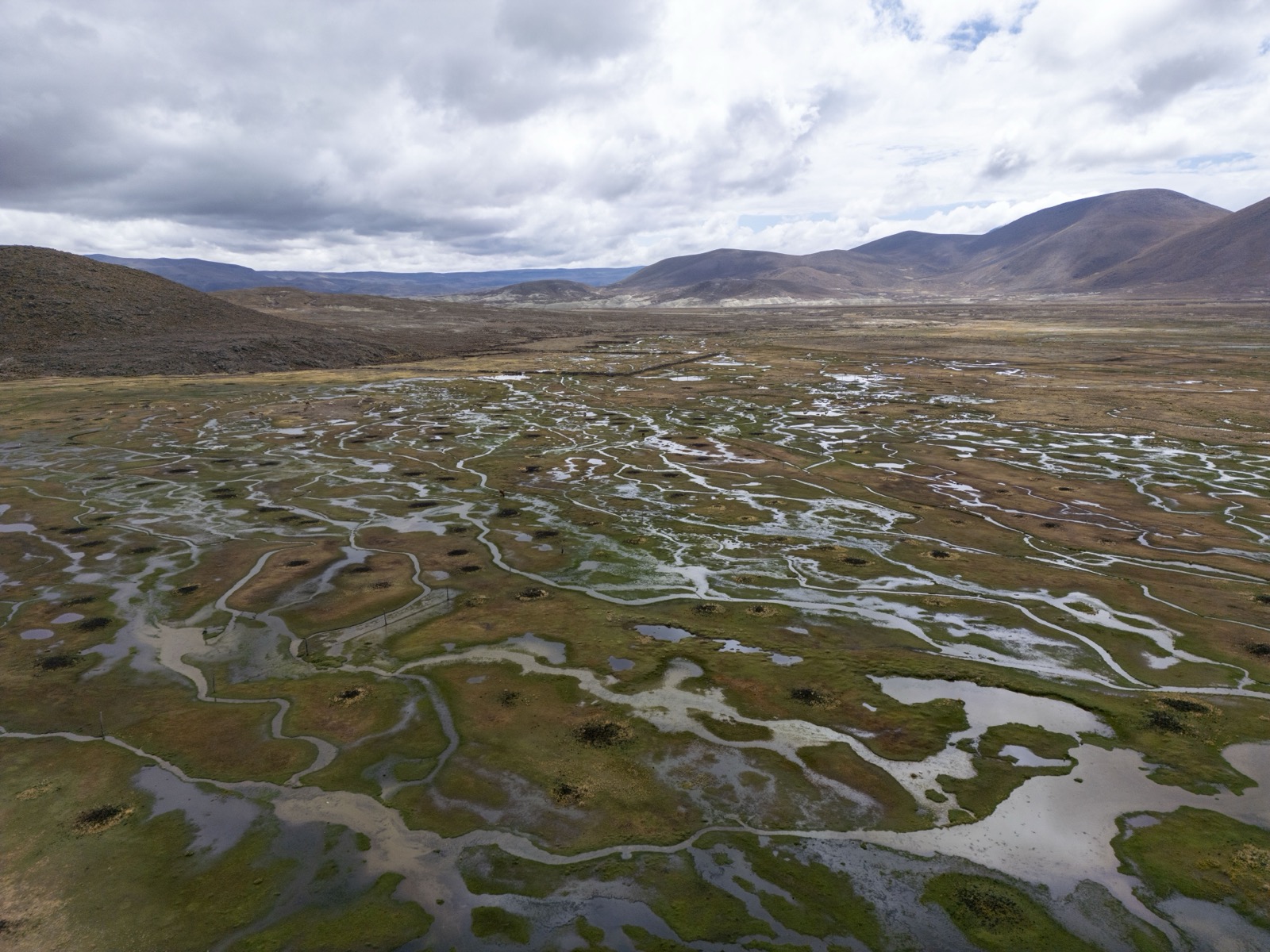 Aerial view of Andean wetland
