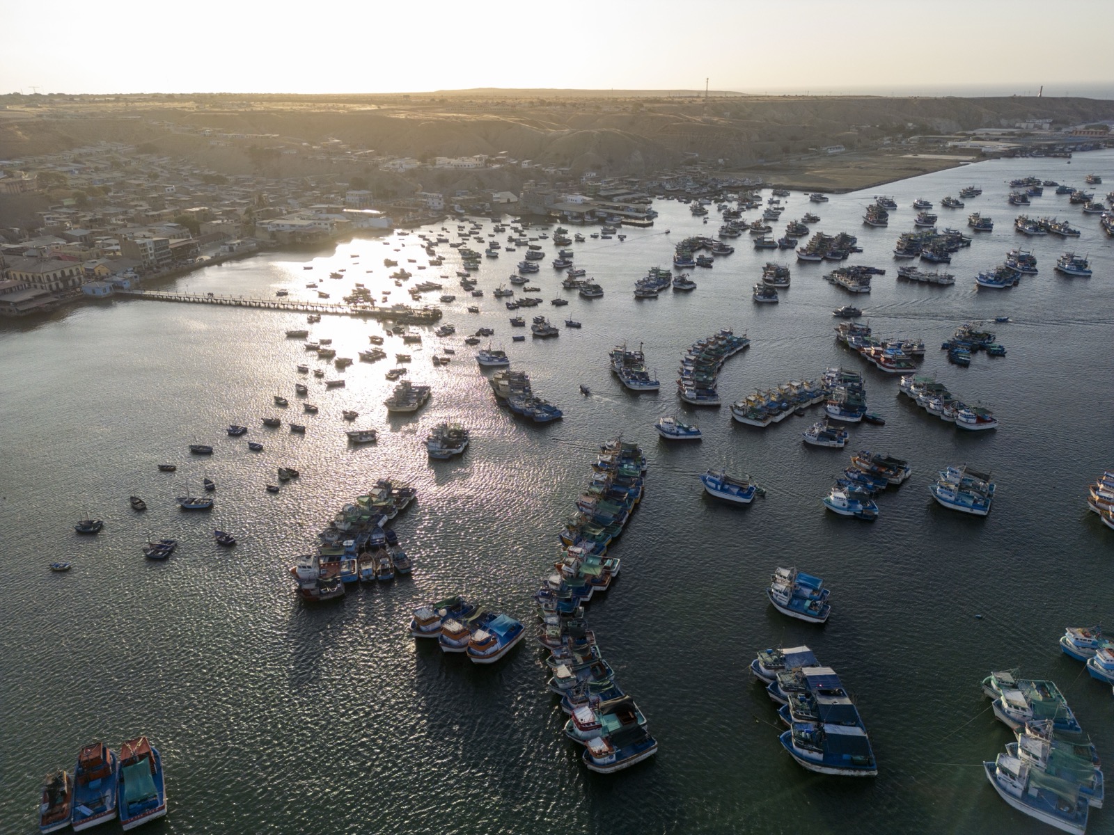 Aerial view of fishing port at sunset
