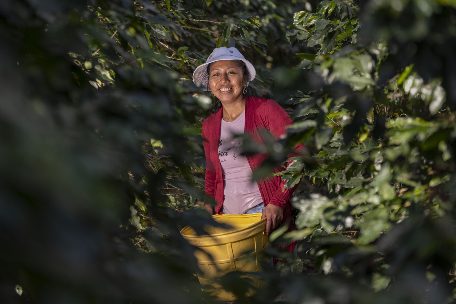 Indigenous elder touching tree