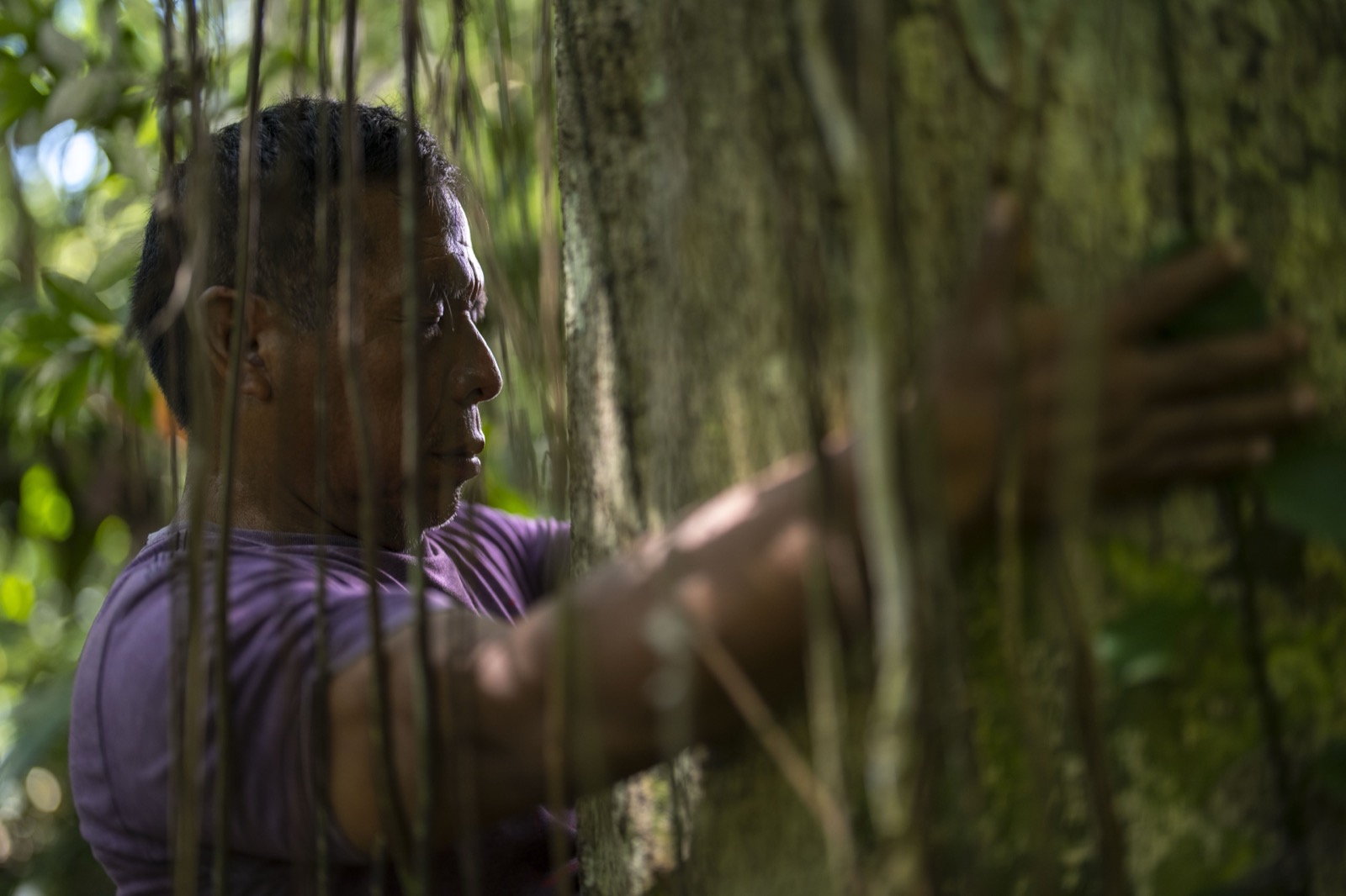 Man touching tree in dense jungle