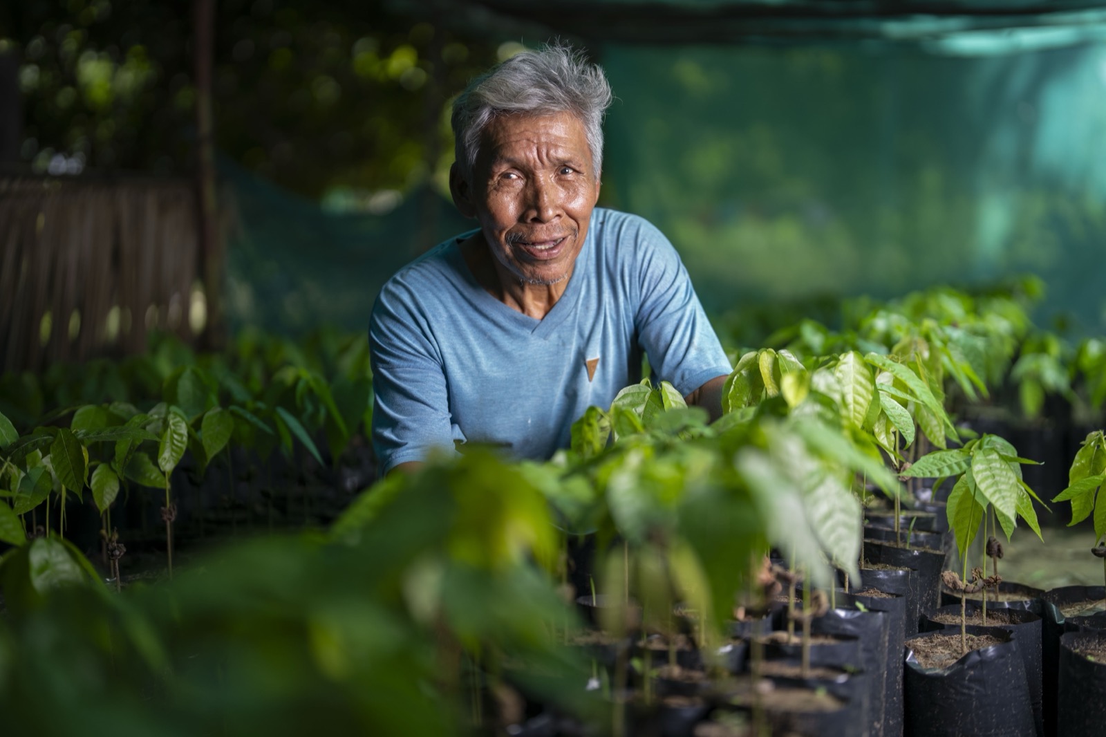 Elderly man in plant nursery